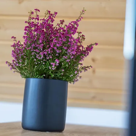 Piotrowiczowka Osada W Szczyrzycu